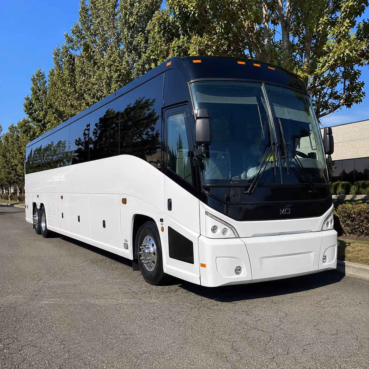 richardson 50 passenger charter bus