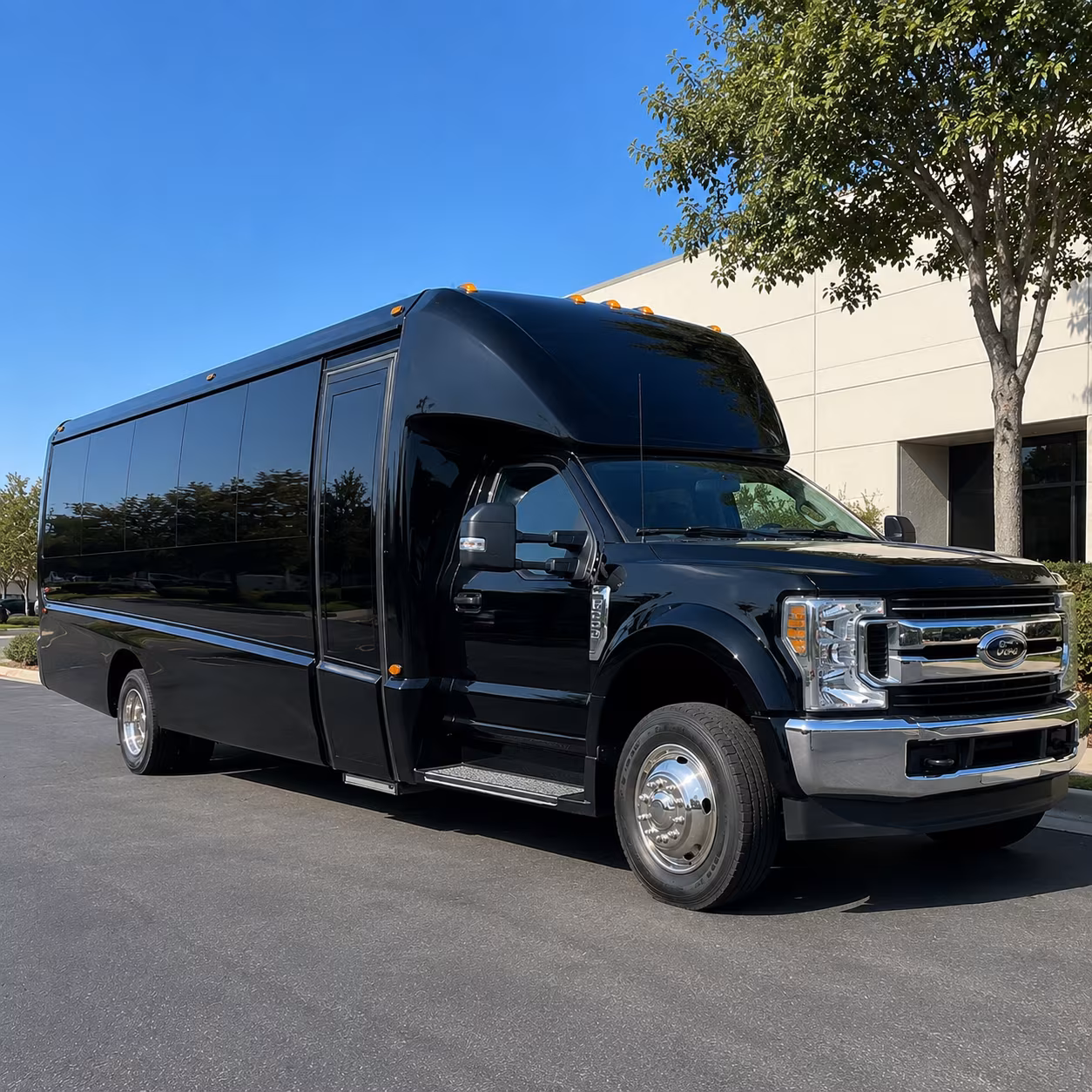 richardson birthday party transportation onboard seating