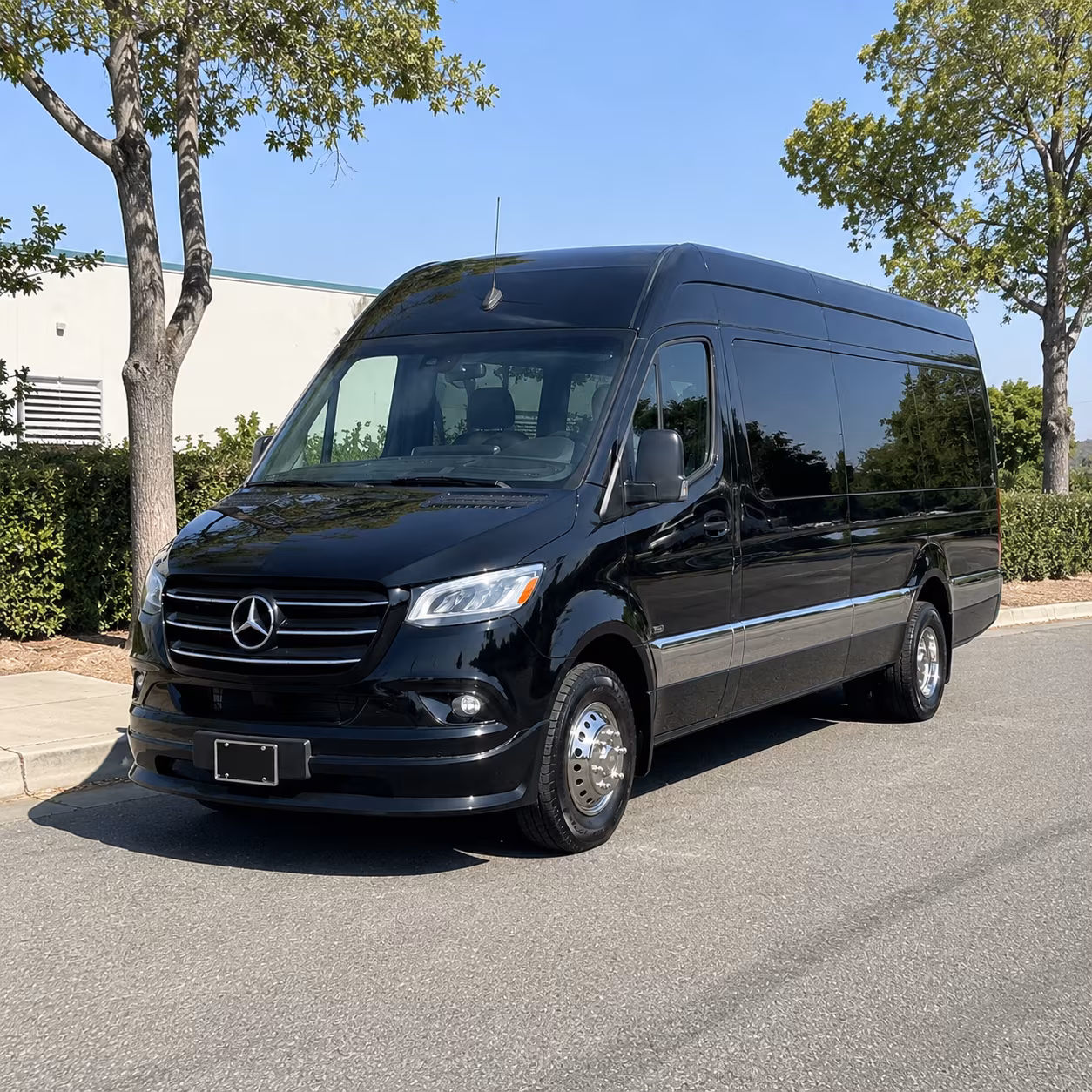 secure transportation for your next bachelor or bachelorette party 3